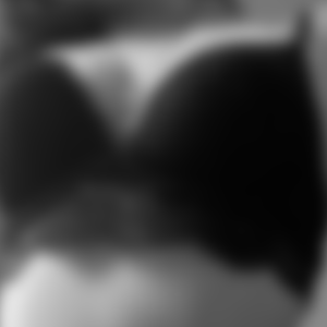 rencontre-Cougar-Bordeaux